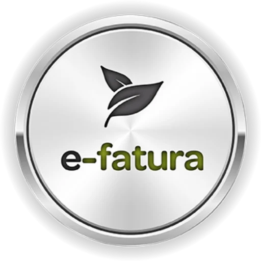 Управление доходами Электронная счёт фактура Член